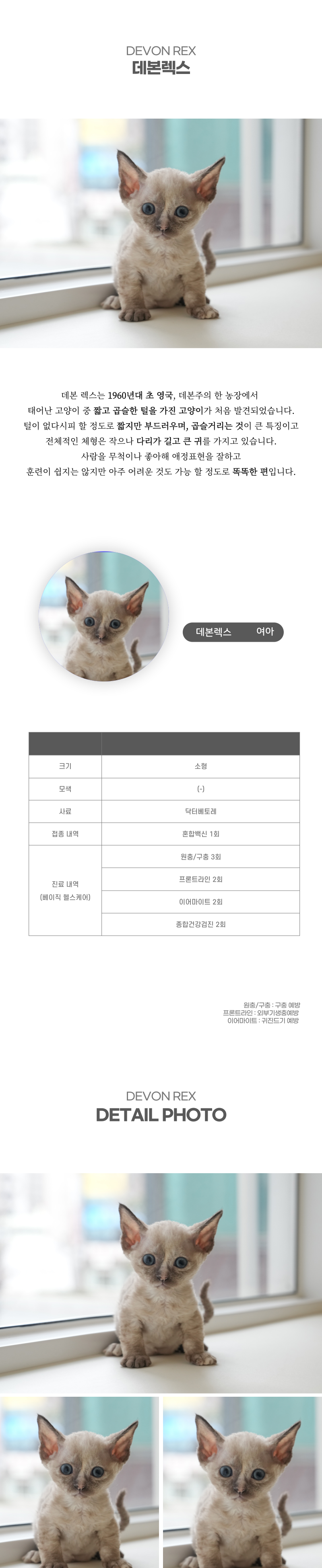 데본렉스_상세이미지_2